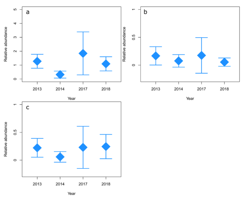 Point plots showing comparisons of predicted maxN on algae/boulder/cobble substratum in 2013, 2014, 2017 and 2018 for goldsinny, ballan and cuckoo wrasse.