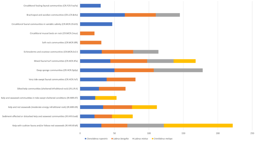 Bar plot of the number of biotope records where each wrasse species is considered to be present.