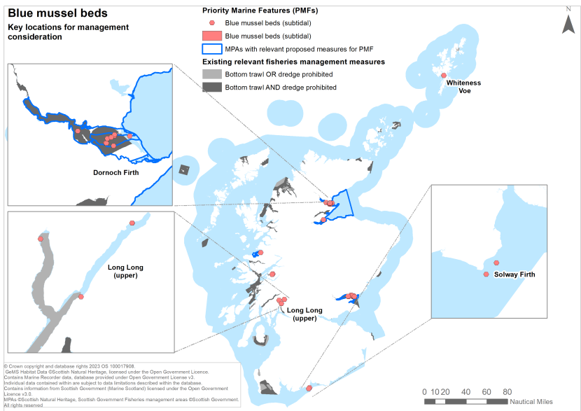 A map showing key locations for the protection of blue mussel beds off Scotland's coast.