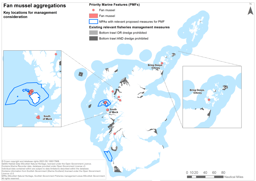 A map showing key locations for the protection of fan mussel aggregations off Scotland's coast.