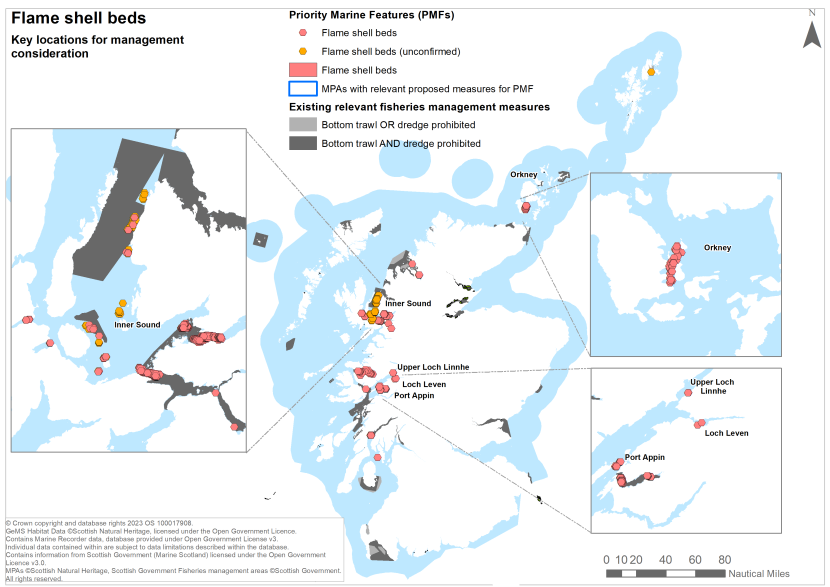 A map showing key locations for the protection of flame shell beds off Scotland's coast.