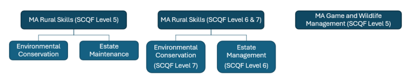 A diagram of a flowchart showing the Rural Skills and G&WM Modern Apprenticeship frameworks at SCQF levels 5, 6 and 7.