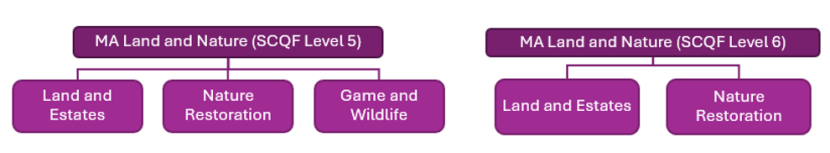 A flowchart showing the Land and Nature Modern Apprenticeship frameworks, which are in development.