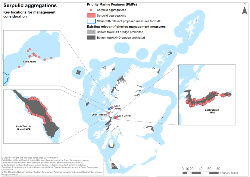 A map showing key locations for the protection of serpulid reefs