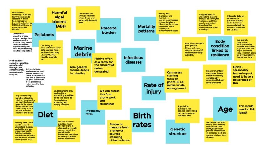 A collection of post-it notes with concepts of metrics considered by the Theme 1 (Animal Health) subgroup.