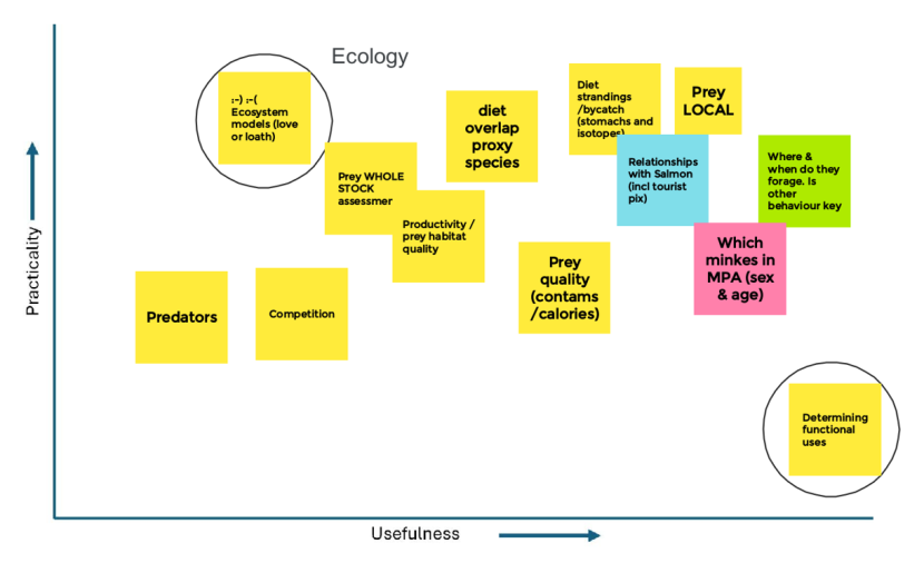A graph displaying an arrangement of potential Metrics ranked by the Theme 2 (Ecology) subgroup during the workshop according to Usefulness and Practicality