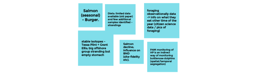 A collection of post-it notes with concepts of metrics considered by the Theme 2 (Ecology) subgroup.