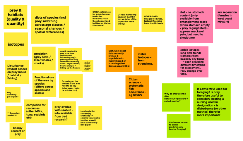 A collection of post-it notes with concepts of metrics considered by the Theme 2 (Ecology) subgroup.
