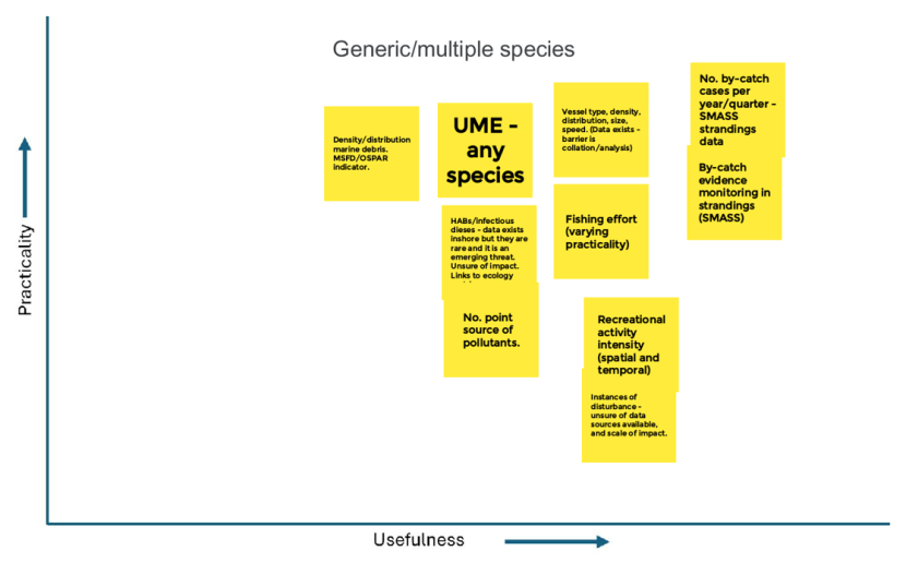 A graph displaying an arrangement of potential Metrics ranked by the Theme 4 (Direct Impacts) subgroup during the workshop according to Usefulness and Practicality
