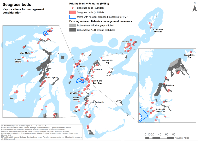 A map showing key locations for the protection of seagrass beds off Scotland's coast.