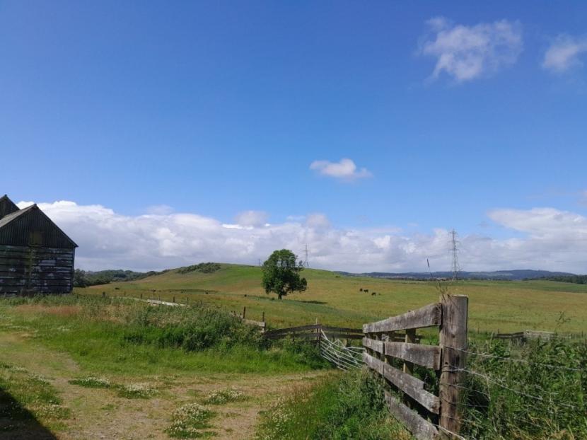 farm gate with fields with grazing anials in the distance.