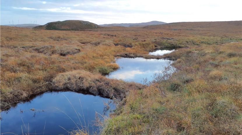 The newly dammed drains slows the flow of water off the peatland whilst the dams themselves act as mini-bridges for people and animals to cross safely