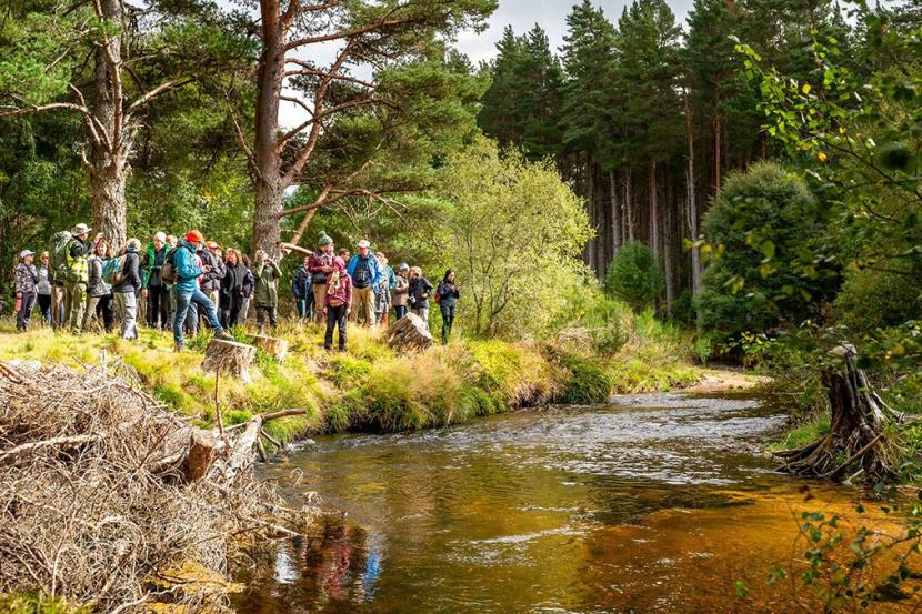 A group of people standing on a river bank, with a forest behind them, discussing beaver activity in the area.