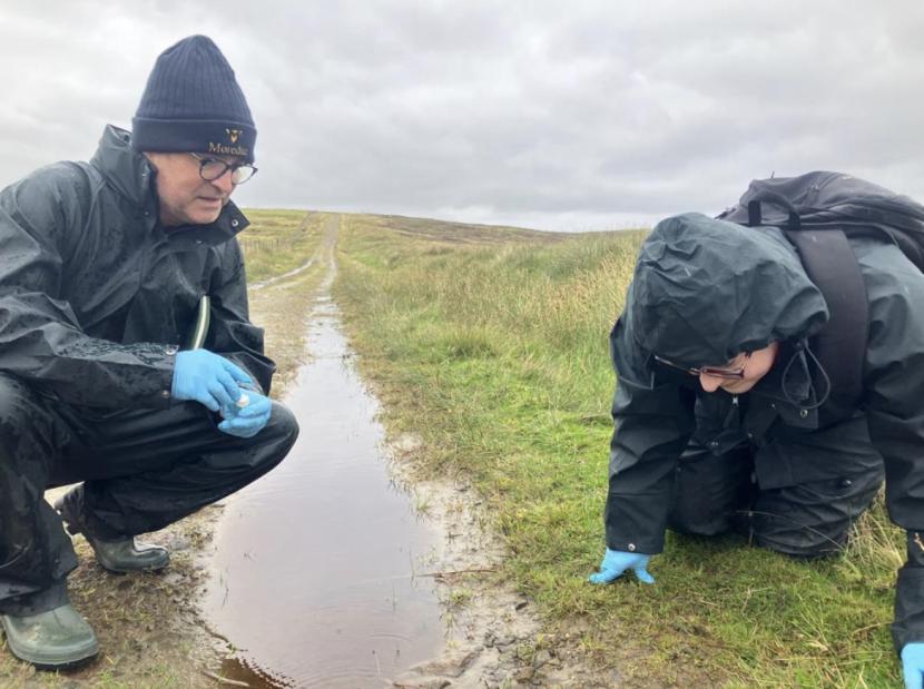 Philip Skuce and Gillian Marshall of Moredun Institute on their needs looking for mud snails in puddles along the grassy edge of a track.