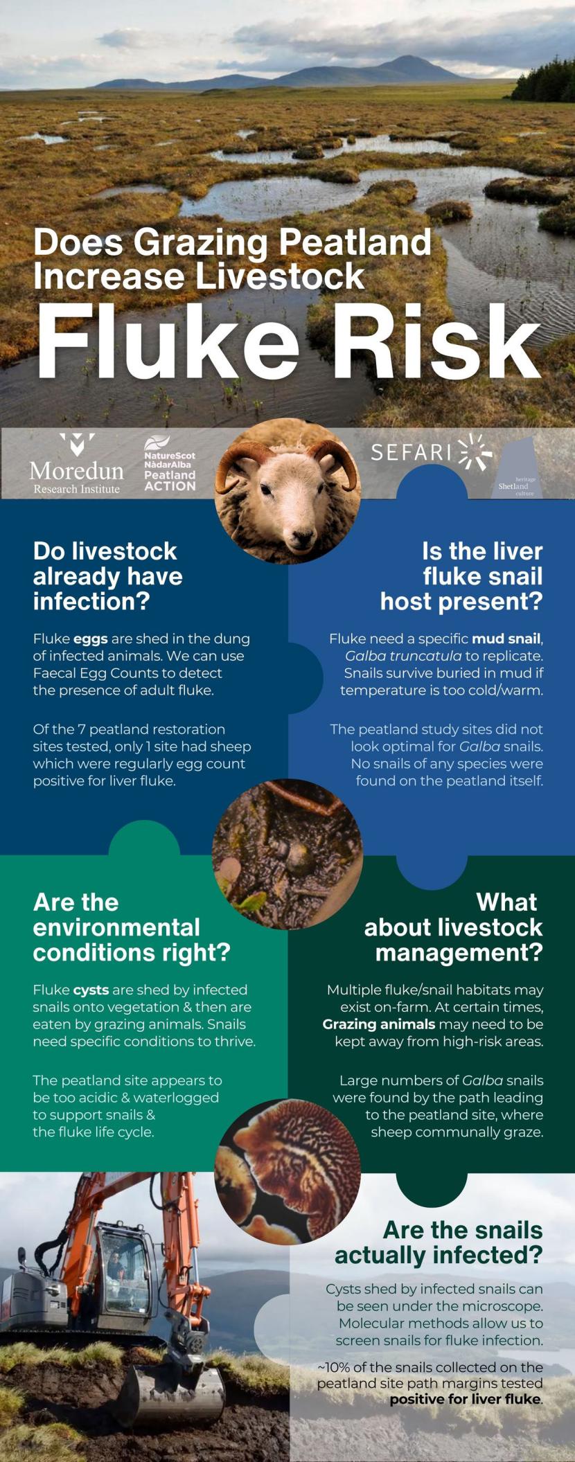 Moredun Institute liver fluke information pop-up banner used at events.