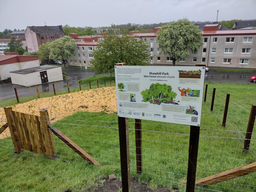 Wee Forest after planting day (c) Green Action Trust.