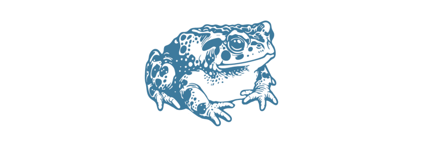 A drawing of a toad
