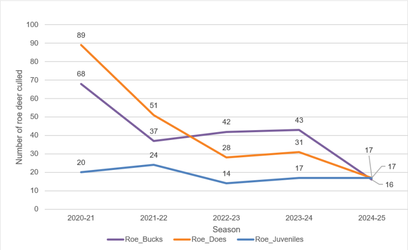 Figure 10 is a line graph showing the recorded roe culls on the three participating properties that have previous cull records, for the period April 2020 – April 2025. There are separate lines for bucks, does and kids. All show an overall decline from 2021 until the latest records for 2024-2025.