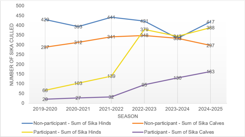 Figure 3 is a line graph comparing the cull rates of incentive scheme participants to cull-rates of non-participants of the respective season (21 October – 15 February) for sika hinds and sika calves for 2019-2020; 2020-2021; 2021-2022; 2022-2023; 2023-2024 and 2024-2025. 