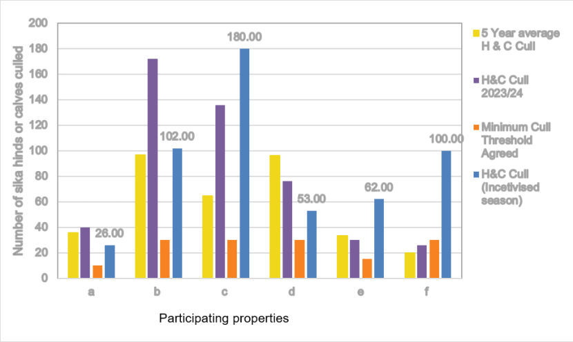 Figure 4 is a bar chart comparing the six participating properties in the South Loch Ness pilot scheme and for each property it shows the five-year average culls of sika hinds and calves; the hind and calf cull figures for 2023-2024; the minimum cull thresholds agreed and the culls for the incentivised season.