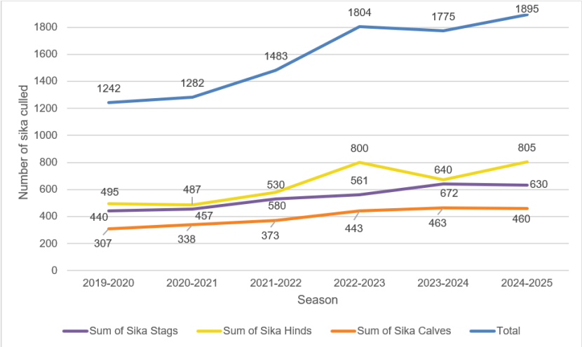 Figure 7 is a line graph showing the number of sika culls reported via statutory returns, within the South Loch Ness area from spring 2019 until spring 2025.  There are separate lines for stags, hinds, calves and the total of all stags, hinds and calves.  