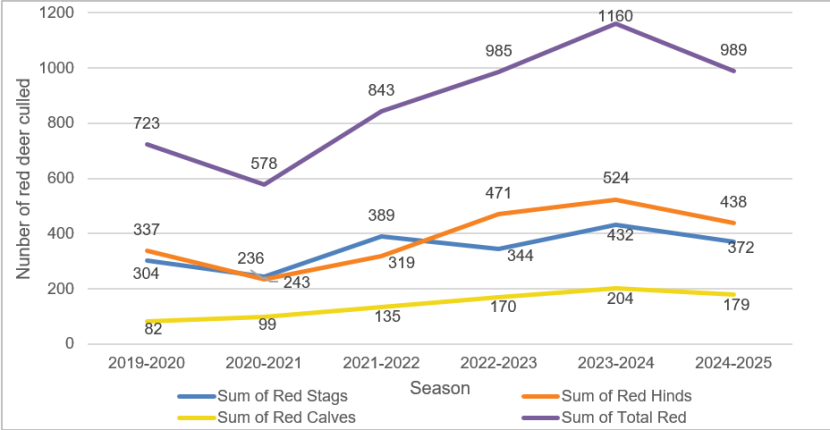 Figure 8 shows the number of red deer culls reported via statutory returns, within the South Loch Ness area from spring 2019 and until spring 2025. There are separate lines for stags, hinds, calves and the total of all stags, hinds and calves.