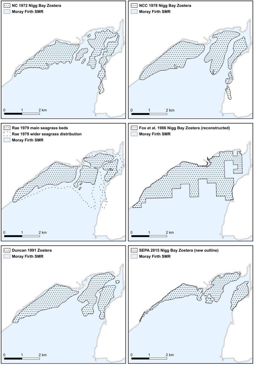 Maps of Zostera distribution in Nigg Bay from 1972, 1978, 1979, 1986, 1991 and 2015 are presented as black spotted polygons superimposed over the Moray Firth SMR represented in light blue with land presented in white. Distributions between 1972 and 1991 are similar though the area recorded in 2015 is significantly smaller with shrinkage at the seaward edge. 