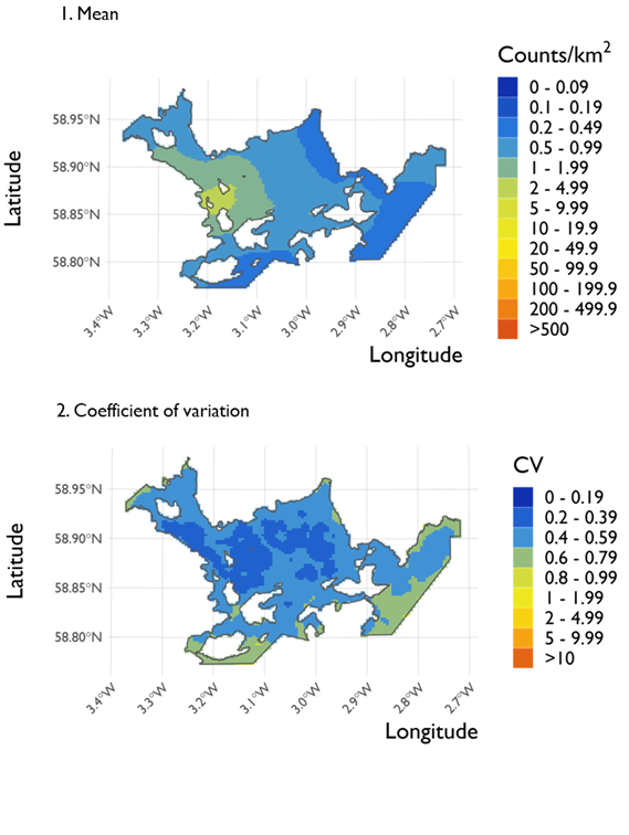 Two maps showing (1) the estimated density of great northern divers and (2) the associated coefficient of variation at Scapa Flow Special Protection Area on 21 February 2022. 