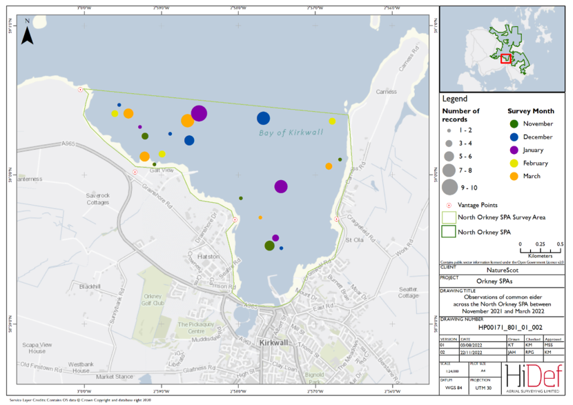 Map of shore-based observations of common eider in part of the North Orkney Special Protection Area during the winter 2021/22 shore-based surveys.