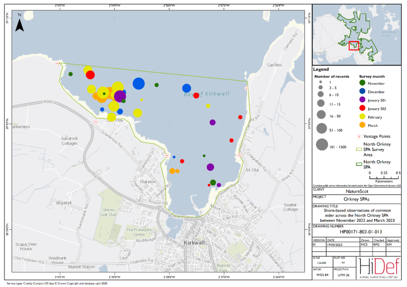 Map of shore-based observations of common eider in part of the North Orkney Special Protected Area during the winter 2022/23 shore-based surveys.