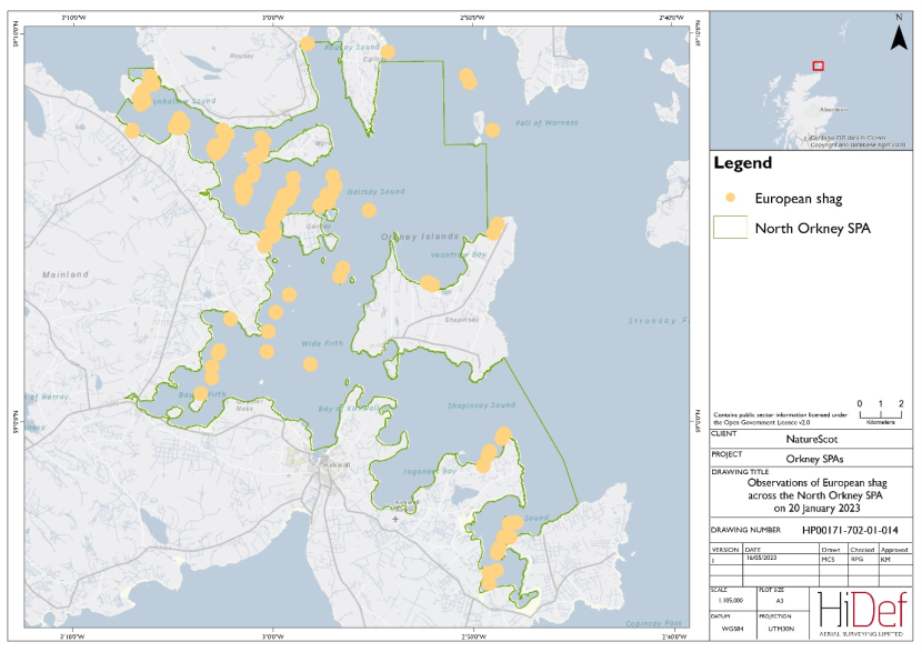 Map of North Orkney Special Protected Area showing locations of European shag observed in the 20 January 2023 DAS.