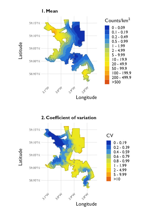 Two maps showing (1) the estimated density of European shag and (2) the associated coefficient of variation at North Orkney Special Protected Area from the surveys conducted on 20 January 2023. 