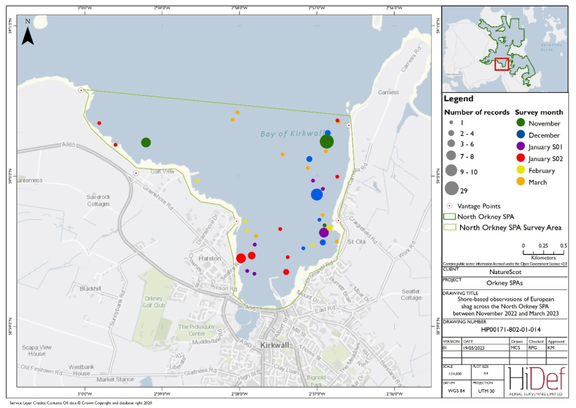 Map of shore-based observations of European shag in part of the North Orkney Special Protected Area during the winter 2022/23 shore-based surveys.
