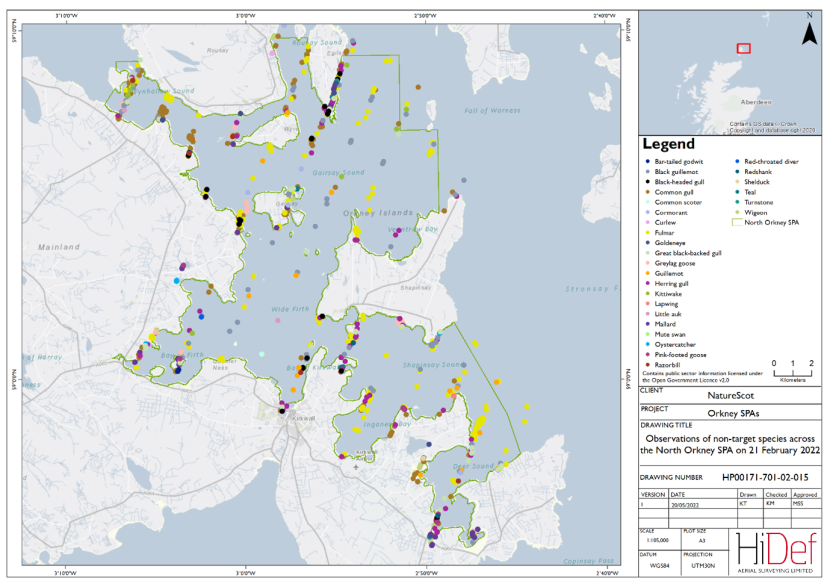 Map showing aerial observations of non-target wintering waterfowl species within the North Orkney Special Protection Area on 21 February 2022.