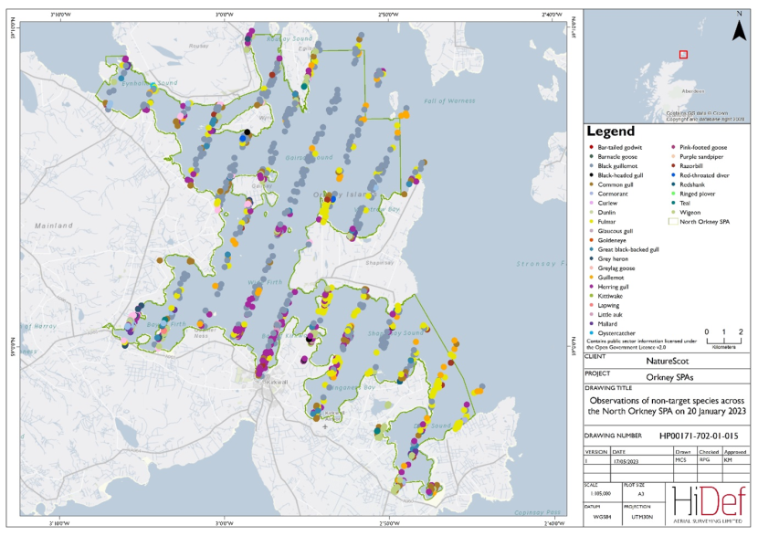 Map showing aerial observations of non-target wintering waterfowl species within the North Orkney Special Protected Area on 20 January 2023. 