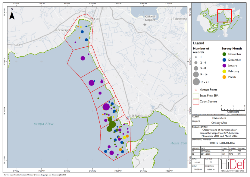 Map of shore-based observations of great northern diver in sectors at the Scapa Flow Special Protection Area during the winter 2021/22 shore-based surveys.