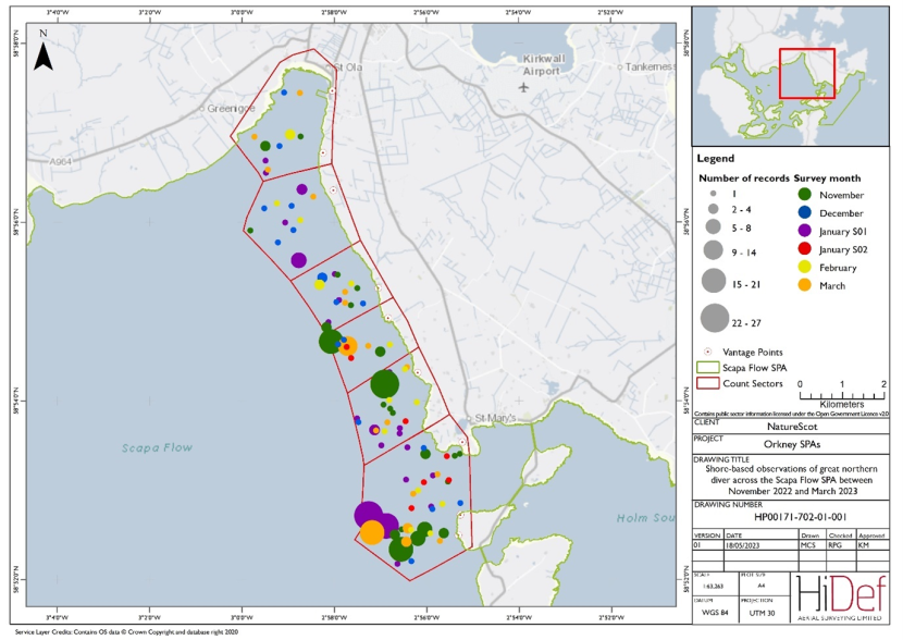 Map of shore-based observations of great northern diver in sectors at the Scapa Flow Special Protected Area during the winter 2022/23 shore-based surveys