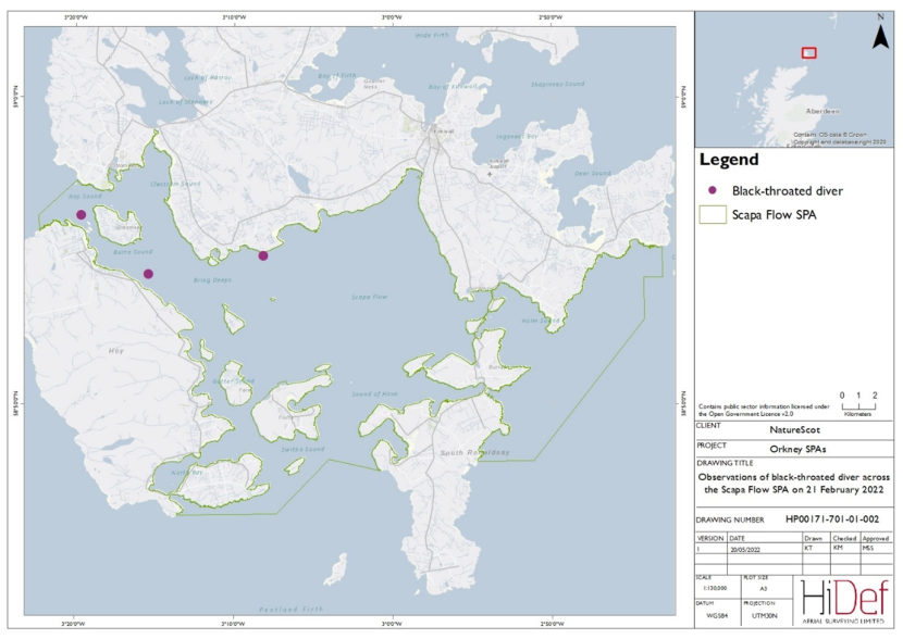 Map of Scapa Flow Special Protection Area showing locations of black-throated divers observed in the February 2022 DAS.