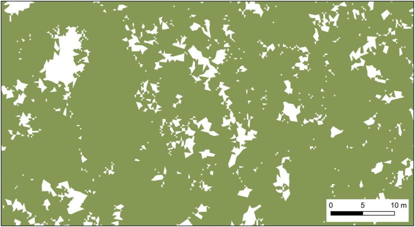 A close-up of a map showing details of a mapped seagrass bed. Seagrass areas are green and bare patches are white. The scale bar indicates that the bare patches range in size from a few centimetres to a few metres across.
