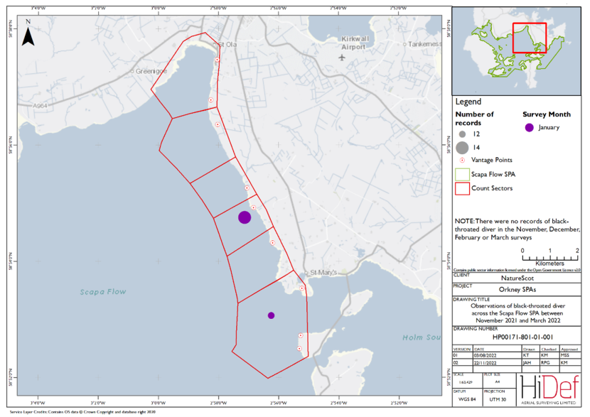 Map of shore-based observations of black-throated diver in sectors at the Scapa Flow Special Protection Area during the winter 2021/22 shore-based surveys.