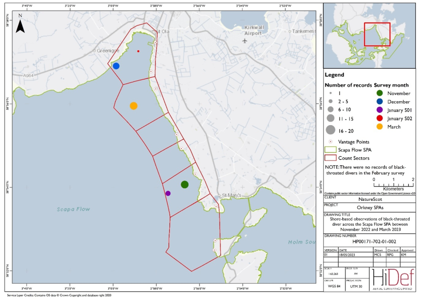 Map of shore-based observations of black-throated diver in sectors at the Scapa Flow Special Protected Area in the winter 2022/23 shore-based surveys.