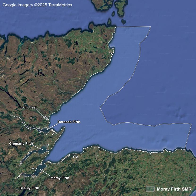 A map showing aerial imagery of the Moray Firth Scottish Marine Region including locations from north to south of Loch Fleet, Dornoch Firth, Cromarty Firth, Beauly Firth and Moray Firth.