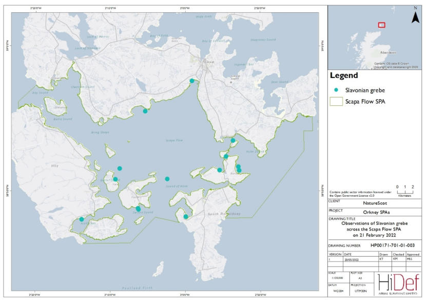 Map of Scapa Flow Special Protection Area showing locations of Slavonian grebe observed in the February 2022 DAS.