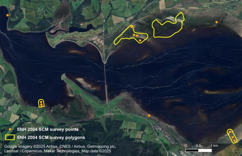 A map showing seagrass data from 2004 presented as polygons and points superimposed over aerial imagery. Two moderately sized polygons are situated along the northern shore while two small linear polygons are present along the southern shore. Each of the southern polygons contains a line of three data points.