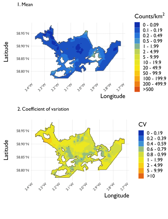 Two maps showing (1) the estimated density of Slavonian grebes and (2) the associated coefficient of variation at Scapa Flow Special Protection Area from the surveys conducted on 21 February 2022. 