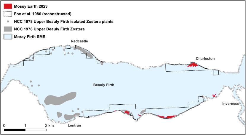 A map showing a comparison of seagrass data from the NCC from 1978 (grey), Fox et al. from 1986 (dotted black outline) and Mossy Earth from 2023 (red).