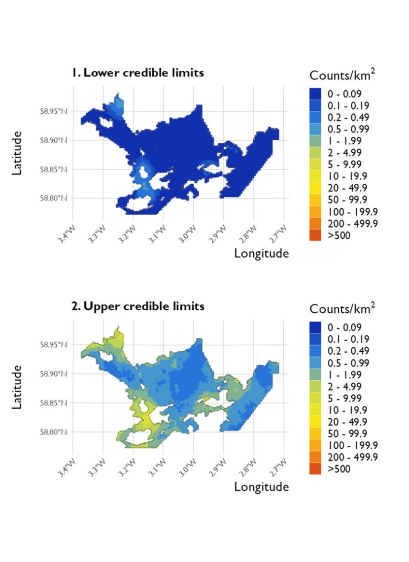 Two maps showing (1) the lower credible limits of the density estimates of Slavonian grebe and (2) the upper credible limits at Scapa Flow Special Protected Area from the surveys conducted on 20 January 2023. 