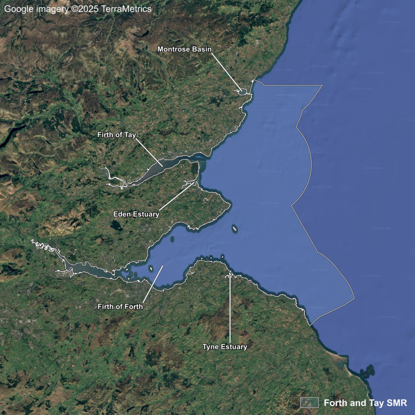 A map showing aerial imagery of the Forth and Tay Scottish Marine Region including locations from north to south of Montrose Basin, Firth of Tay, Eden Estuary, Firth of Forth and Tyne Estuary.