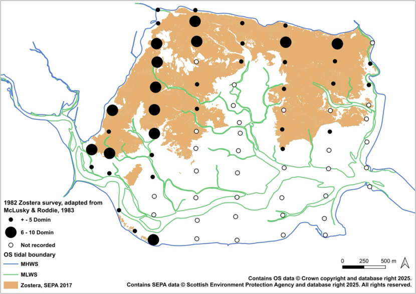 A map showing Montrose Basin seagrass distribution in 1982 as quadrat data presented along transects. Data is in three categories: not recorded; + to 5 Domin scale; and 6 to 10 Domin scale. Not recorded is shown as a small white circle, + to 5 Domin scale as a small black circle and 6 to 10 Domin scale as large black circle. SEPA’s 2017 seagrass data is shown in pale orange. MHWS is shown as a blue line. MLWS is shown as a green line.