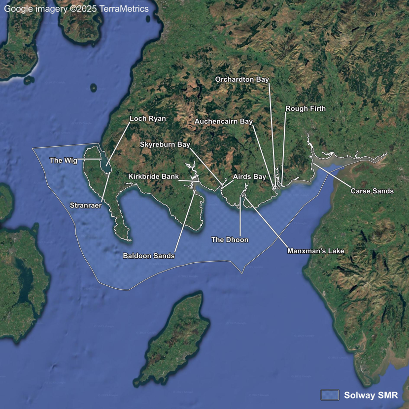 A map showing aerial imagery of the Solway Scottish Marine Region including locations from east to west of Carse Sands, Rough Firth, Orchardton Bay, Auchencairn Bay, Manxman’s Lake, The Dhoon, Airds Bay, Skyreburn Bay, Kirkbride Bank, Baldoon Sands, Stranraer, Loch Ryan and The Wig.